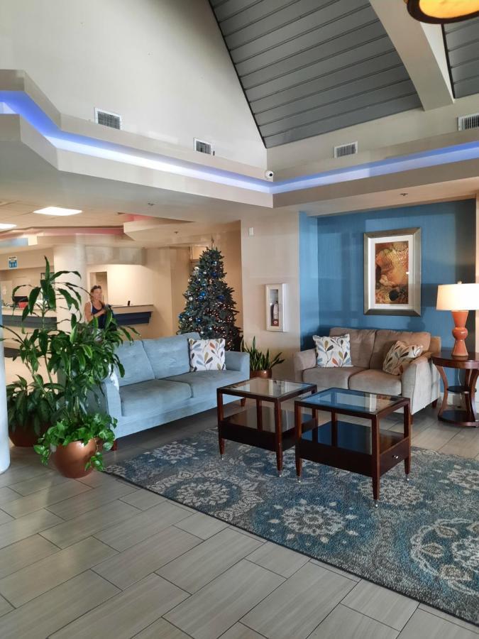 A Happy Seashell Story Apart otel Daytona Beach Dış mekan fotoğraf