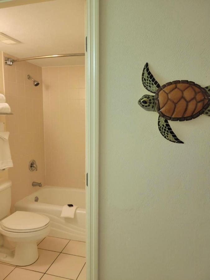 A Happy Seashell Story Apart otel Daytona Beach Dış mekan fotoğraf